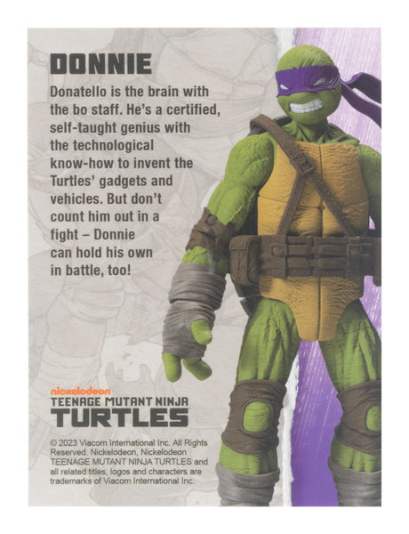 TEENAGE MUTANT NINJA TURTLE - BST AXN - DONATELLO (IDW COMICS) (13CM)