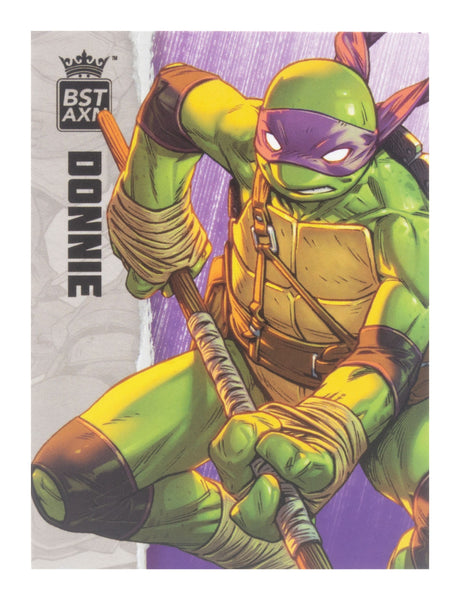 TEENAGE MUTANT NINJA TURTLE - BST AXN - DONATELLO (IDW COMICS) (13CM)