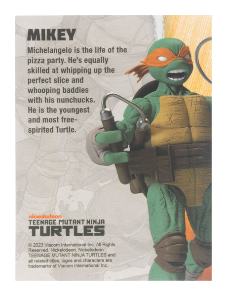 TEENAGE MUTANT NINJA TURTLE - BST AXN - MICHELANGELO (IDW COMICS) (13CM)