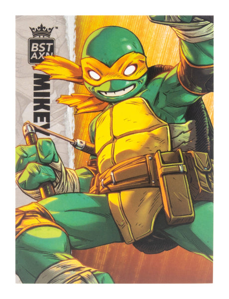 TEENAGE MUTANT NINJA TURTLE - BST AXN - MICHELANGELO (IDW COMICS) (13CM)