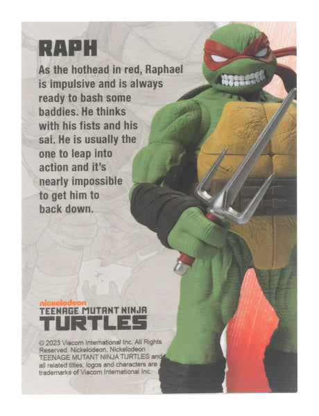 TEENAGE MUTANT NINJA TURTLE - BST AXN - RAPHAEL (IDW COMICS) (13CM)