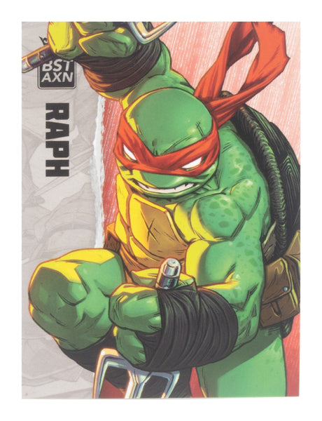 TEENAGE MUTANT NINJA TURTLE - BST AXN - RAPHAEL (IDW COMICS) (13CM)