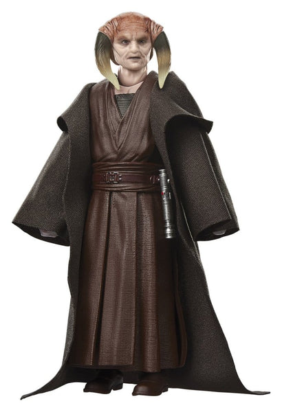 STAR WARS BLACK SERIES - SAGA COLLECTION - ATTACK OF THE CLONES - SAESEE TIIN PRE-ORDER 04.2027