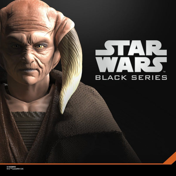 STAR WARS BLACK SERIES - SAGA COLLECTION - ATTACK OF THE CLONES - SAESEE TIIN PRE-ORDER 04.2027