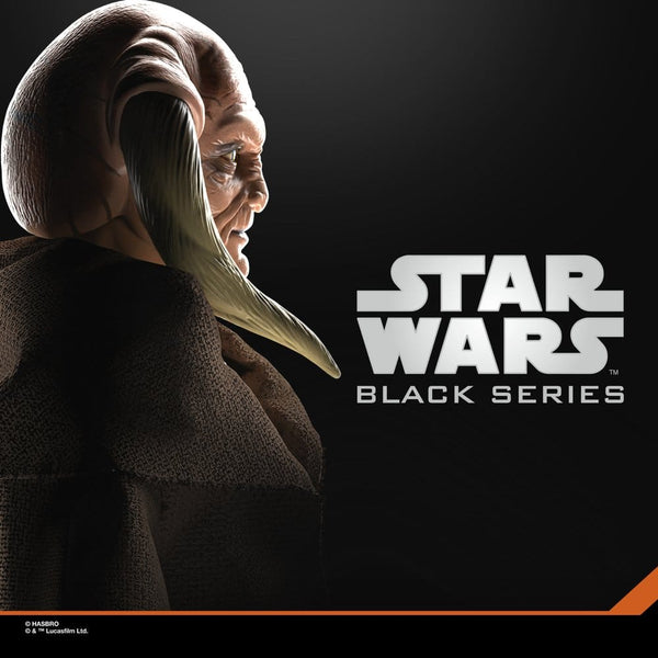 STAR WARS BLACK SERIES - SAGA COLLECTION - ATTACK OF THE CLONES - SAESEE TIIN PRE-ORDER 04.2027