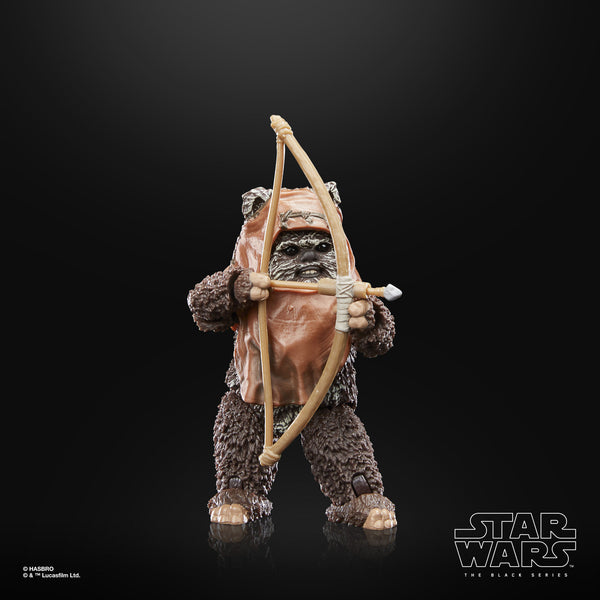 STAR WARS BLACK SERIES - 40TH ANNIVERSARY - RETURN OF THE JEDI - WICKET