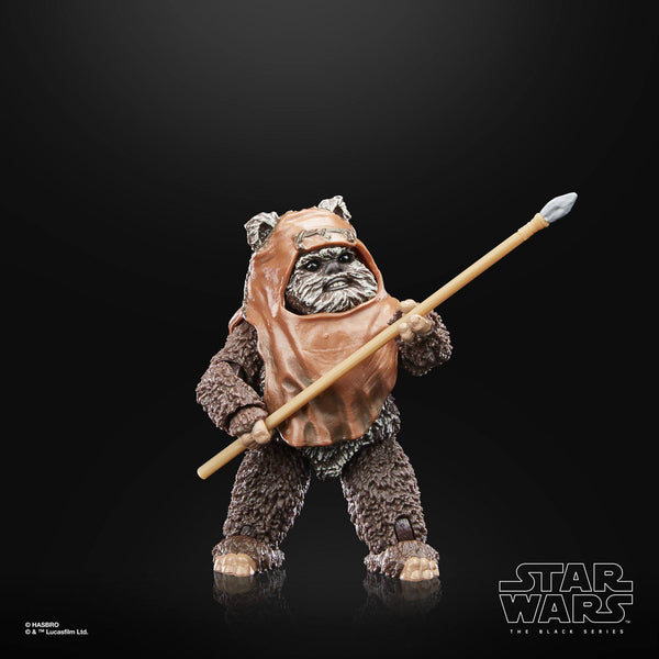 STAR WARS BLACK SERIES - 40TH ANNIVERSARY - RETURN OF THE JEDI - WICKET