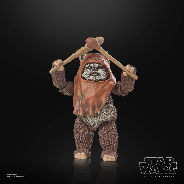 STAR WARS BLACK SERIES - 40TH ANNIVERSARY - RETURN OF THE JEDI - WICKET