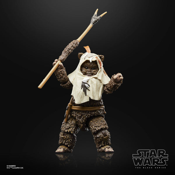 STAR WARS BLACK SERIES - 40TH ANNIVERSARY - RETURN OF THE JEDI - PAPLOO